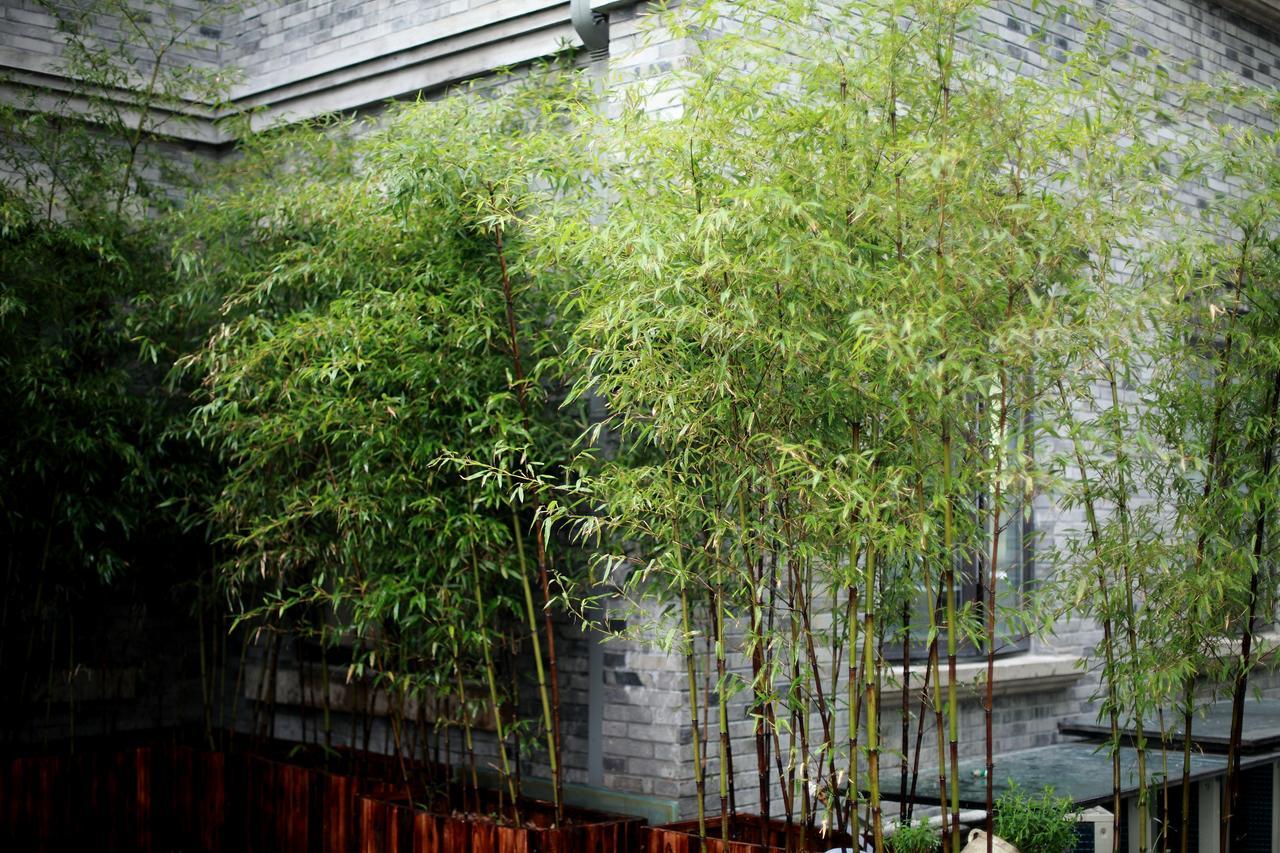 Study Resort Ningbo Esterno foto